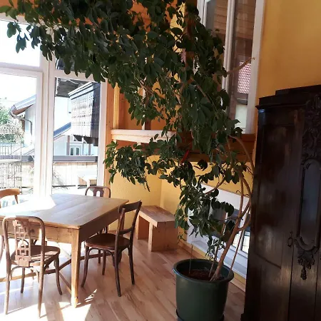 Ferienhaus Mit Wintergarten *